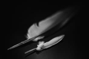 plume Strasbourg